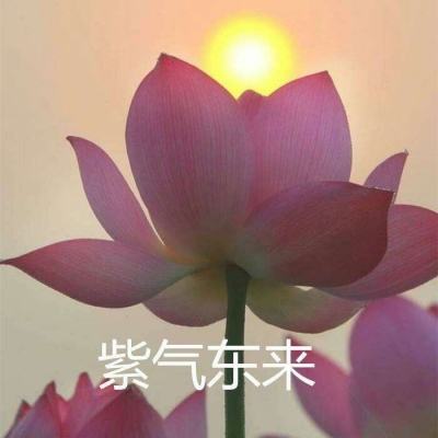 一骑戏诸侯手游(暂未上线)v1.1.0 官方安卓版